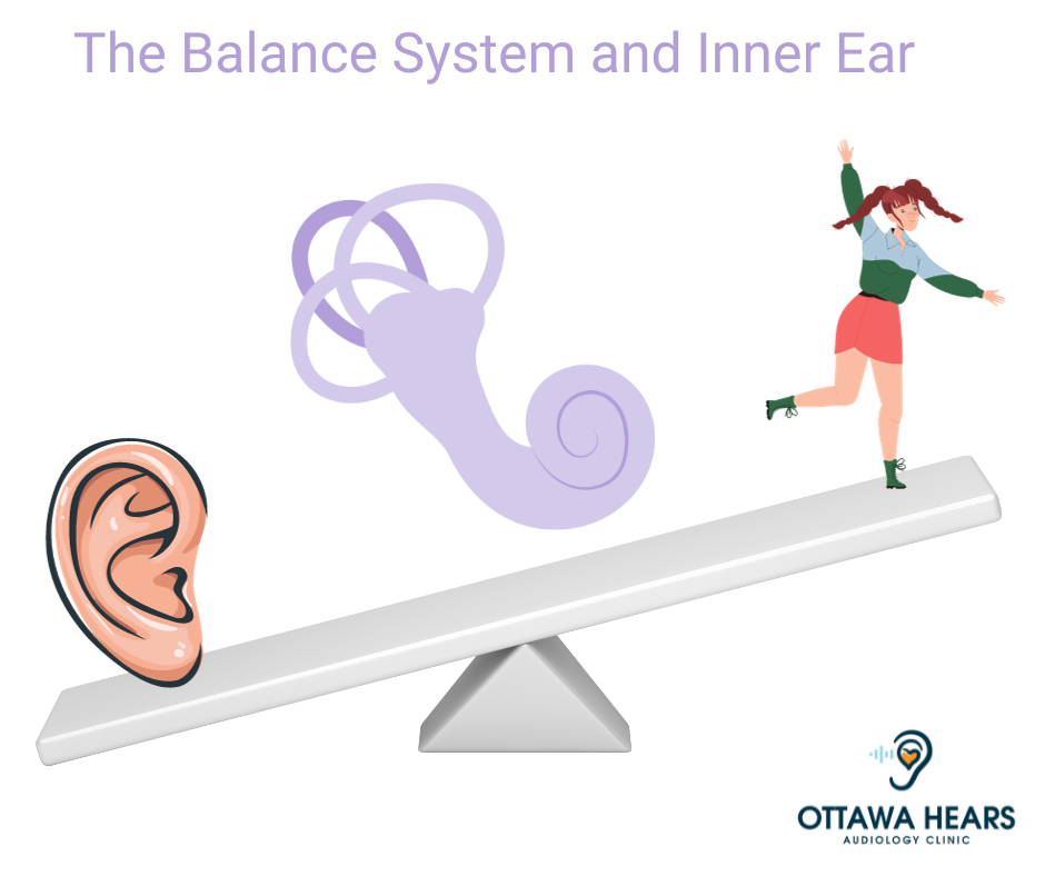 Balance system connected to Inner Ear